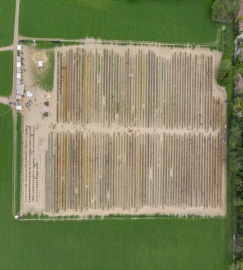 Lalelerin bir alanın havadan görünümü, çiçeklerin çok renkli çeşitli. Arese, Milan. İtalyan laleleri