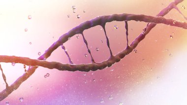 Dna, Deoksiribonükleik asit, organizmaların ve birçok virüsün büyümesi, gelişmesi, üremesi ve birçok virüste kullanılan genetik talimatları taşıyan iplik benzeri bir nükleotit zinciridir. Dna sarlisi. 3d render
