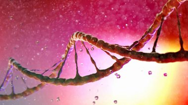 Dna, Deoksiribonükleik asit, organizmaların ve birçok virüsün büyümesi, gelişmesi, üremesi ve birçok virüste kullanılan genetik talimatları taşıyan iplik benzeri bir nükleotit zinciridir. Dna sarlisi. 3d render