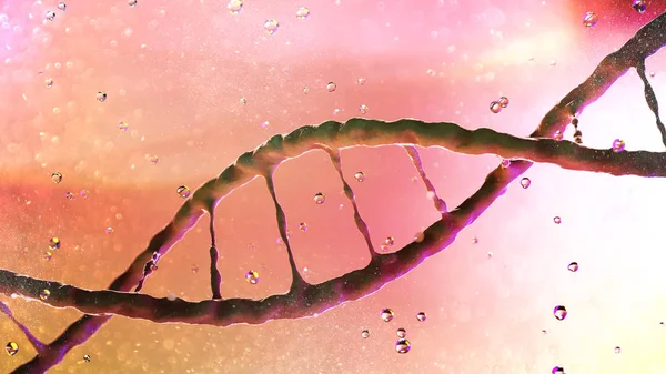 Dna Deoxyribonucleic 유기체 바이러스의 재생에 사용되는 지침을 운반하는 뉴클레오티드의 사슬입니다 — 스톡 사진
