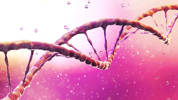 DNA, Deoxyribonucleic acid is a thread-like chain of nucleotides carrying the genetic instructions used in the growth, development, reproduction of organisms and many viruses. DNA helix. 3d rendering