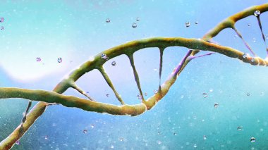 Dna, Deoksiribonükleik asit, organizmaların ve birçok virüsün büyümesi, gelişmesi, üremesi ve birçok virüste kullanılan genetik talimatları taşıyan iplik benzeri bir nükleotit zinciridir. Dna sarlisi. 3d render