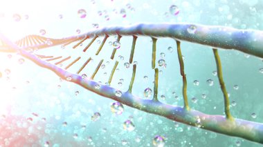 Dna, Deoksiribonükleik asit, organizmaların ve birçok virüsün büyümesi, gelişmesi, üremesi ve birçok virüste kullanılan genetik talimatları taşıyan iplik benzeri bir nükleotit zinciridir. Dna sarlisi. Rna.3d oluşturma