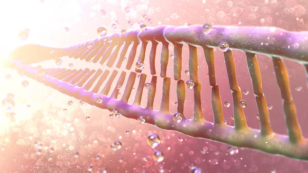 DNA, Deoxyribonucleic acid is a thread-like chain of nucleotides carrying the genetic instructions used in the growth, development, reproduction of organisms and many viruses. DNA helix. RNA.3d rendering