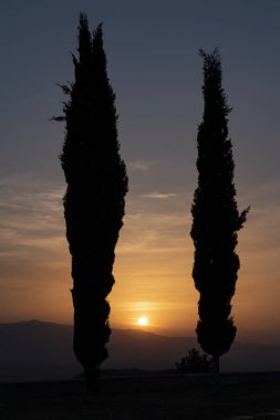 Türkiye: Hierapolis 'in Kuzey Nekropolinde gün batımında selvi ağaçları (kutsal şehir), Harabeleri modern Pamukkale 'ye yakın olan klasik Frigya 'da kaplıcalarda bulunan antik şehir  