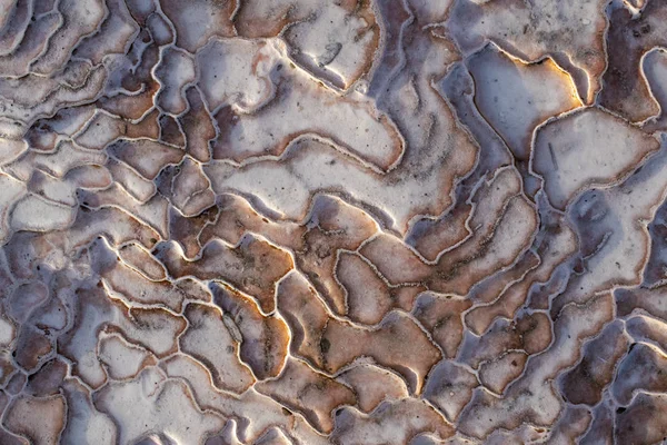 Turquie Détails Des Terrasses Traversées Pamukkale Château Coton Site Naturel — Photo