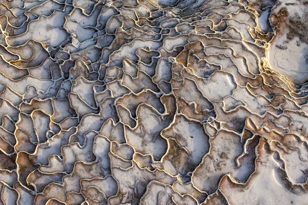 Turkiet Detaljer Travertin Terrasser Pamukkale Cotton Castle Naturliga Platsen För — Stockfoto