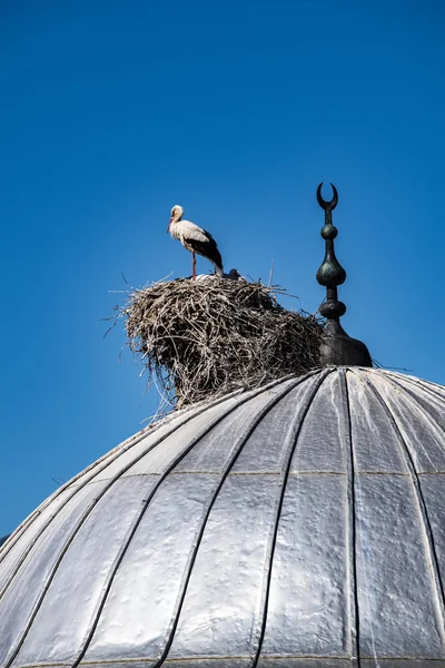 Törökország Közel Kelet Gólya Kölykeit Fészket Kupola Egy Mecset Város — Stock Fotó
