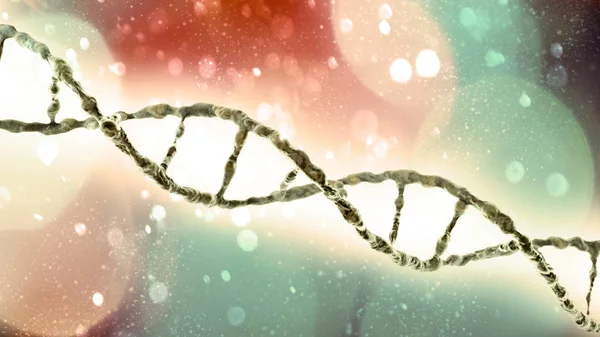 Днк Спіраль Deoxyribonucleic Acid Ланцюг Схожий Нитки Нуклеотидів Несе Генетичні — стокове фото