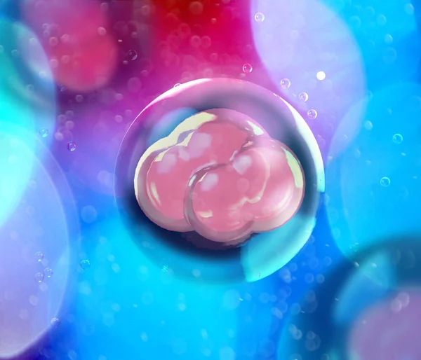 Fertilización Vitro Fiv Proceso Fertilización Que Óvulo Combina Con Espermatozoides — Foto de Stock