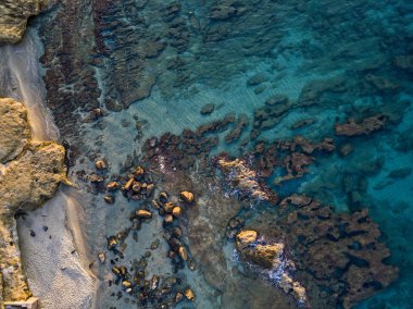 Denizde kayaların havadan görünüşü. Yukarıdan görünen deniz tabanının genel görünümü, şeffaf su. Deniz yatağı. Pizzo Calabro, Calabria, İtalya