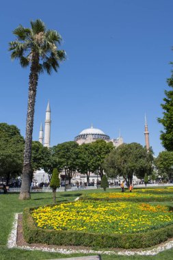 İstanbul, Türkiye, Ortadoğu: Eski Yunan Ortodoks Hıristiyan ataerkil katedrali, daha sonra Osmanlı İmparatorluk camisi ve şimdi de Sultan Ahmet Park 'tan bir müze manzarası