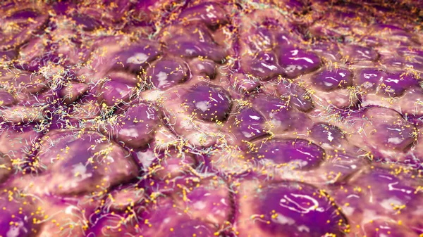 Sporenvermeerdering Verspreiding Van Een Virus Pollen Bloeiwijzen Microscopische Organismen Duplicatie — Stockfoto