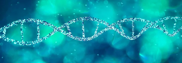 DNA helix, Deoxyribonucleic acid is a thread-like chain of nucleotides carrying the genetic instructions used in the growth, development of all known living organisms. 3d