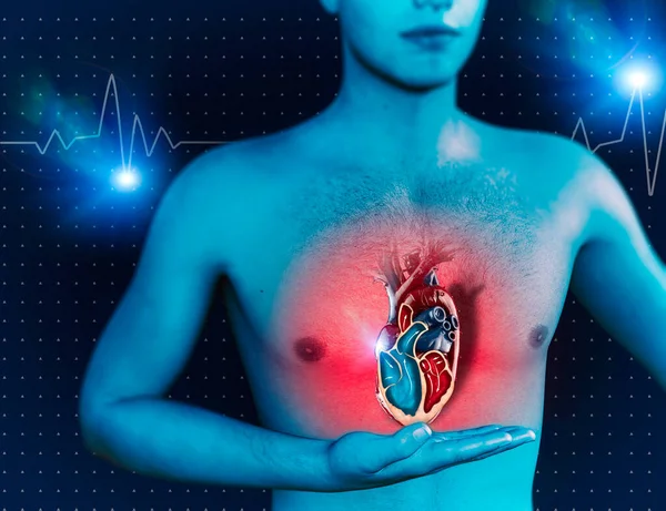 Man Heart Human Anatomy Heart Beat Attack Cardiac Medical Examination — Stock Photo, Image