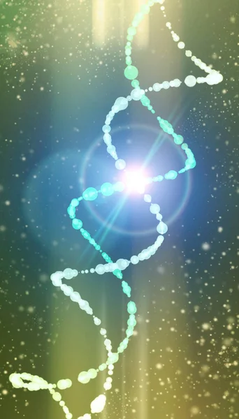 Днк Спіраль Deoxyribonucleic Acid Ланцюг Схожий Нитки Нуклеотидів Несе Генетичні — стокове фото