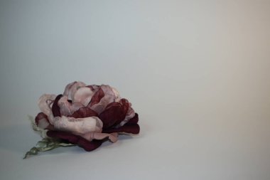 el beyaz zemin üzerine gül yapımı