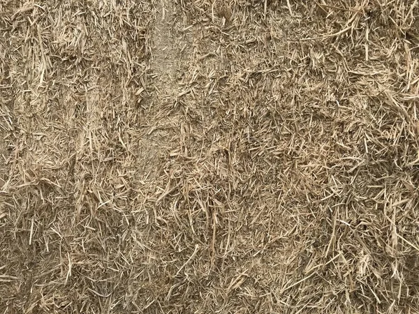 background of dry straw. Texture hay closeup in color. Fodder for livestock and construction material