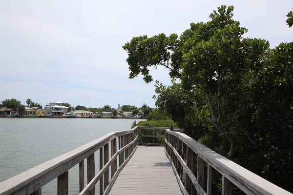 Wooden bridge lead to jungle. Wooden Trails. Boardwalk. A dock over the water at Indian Rocks Beach Nature Preserve in Largo, Florida.