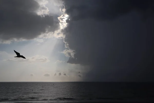 clear sky and storm clouds on the sea. half the sky is clear, half are storm clouds. hurricane coming. storm coming on the ocean, storm clouds on the horizon with ray light