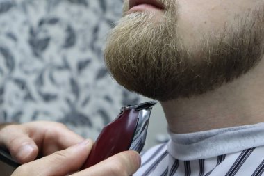 Berber sandalyeBarbershop müşteri adamın sakaltıraş. Sakal Saç Kesimi. vintage berber dükkanında elektrikli jilet ile berber tıraş sakal. Kırpma ayrıntıları. Sakal budalabir berberin kırpılmış yakın çekimi