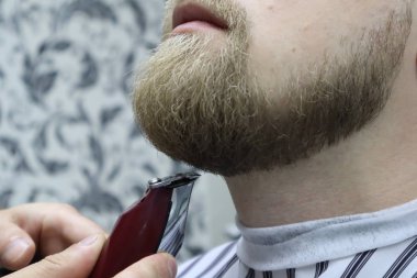 Berber sandalyeBarbershop müşteri adamın sakaltıraş. Sakal Saç Kesimi. vintage berber dükkanında elektrikli jilet ile berber tıraş sakal. Kırpma ayrıntıları. Sakal budalabir berberin kırpılmış yakın çekimi