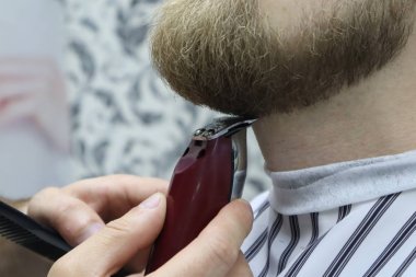 Berber sandalyeBarbershop müşteri adamın sakaltıraş. Sakal Saç Kesimi. vintage berber dükkanında elektrikli jilet ile berber tıraş sakal. Kırpma ayrıntıları. Sakal budalabir berberin kırpılmış yakın çekimi