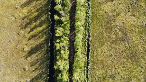 Straße Auf Dem Land Weg Zwischen Grünen Wäldern Und Wasser — Stockfoto