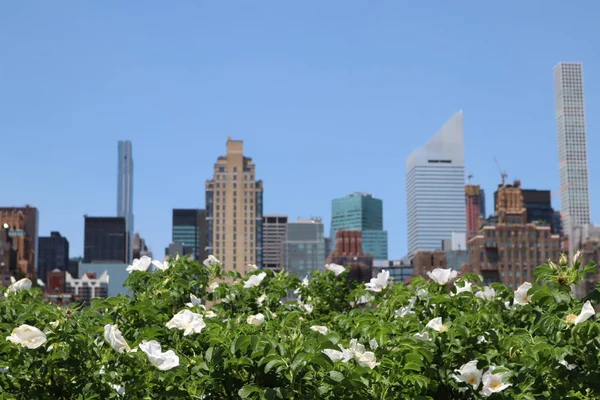 New York Usa Május 2019 Midtown Manhattan Kilátást Roosevelt Four — Stock Fotó