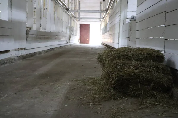 abandoned building. farm shelter in the barn with haystacks.  Inside a Barn for Farm Animals like Cows or Horses. Interior of Old abandoned empty barn.