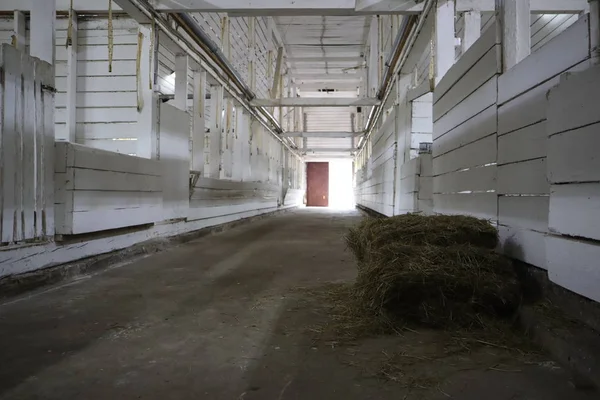 abandoned building. farm shelter in the barn with haystacks.  Inside a Barn for Farm Animals like Cows or Horses. Interior of Old abandoned empty barn.