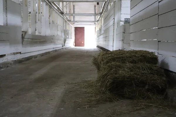 abandoned building. farm shelter in the barn with haystacks.  Inside a Barn for Farm Animals like Cows or Horses. Interior of Old abandoned empty barn.