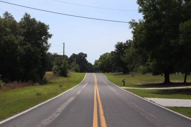İkili yol ikiye bölünmüş durumda. İki şeritli yol. Her iki tarafında ağaçlar olan yol, Florida ormanı boyunca.