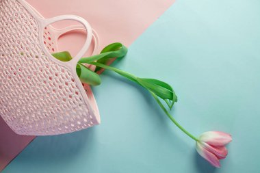 Güzel pembe lale, renkli bir arka planda, pembe bir çanta, gün ışığında dekorasyon