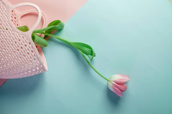 Vacker Rosa Tulpan Färgad Bakgrund Med Rosa Väska Dekoration Dagsljus — Stockfoto