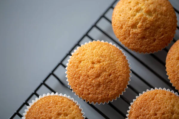 Cupcake gekookt gewoon recht uit de oven — Stockfoto