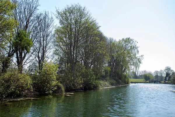 Fiume ruscello canale con serratura e alberi riva del fiume inglese primavera — Foto Stock