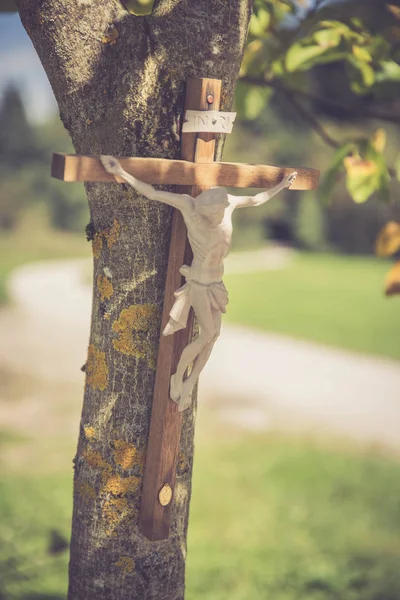 Crucifixo Uma Árvore Livre Jesus Cristo — Fotografia de Stock