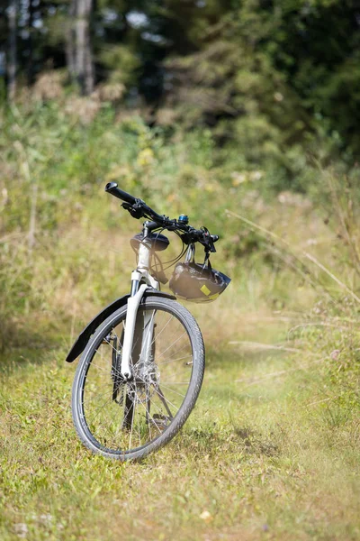 Bike tour. Bike, grass and wood. Outdoors, text space