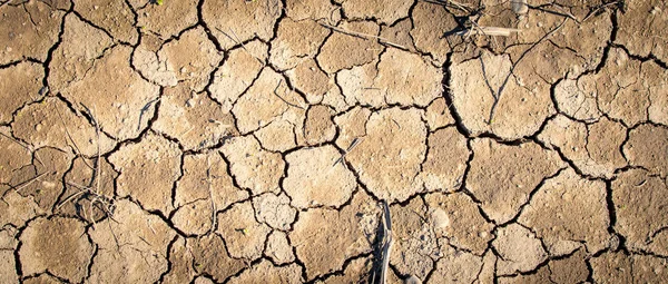 Tierra Seca Agrietada Calentamiento Global —  Fotos de Stock