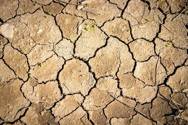 Droge Gebarsten Aarde Globale Opwarming Van Aarde — Stockfoto