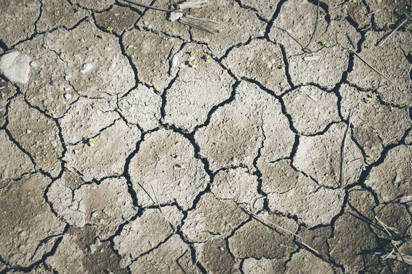 Dry Cracked Earth Global Warming — Stock Photo, Image