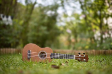 Yeşil çim, bulanık park alan arka planda yalan ukulele