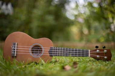 Yeşil çim, bulanık park alan arka planda yalan ukulele