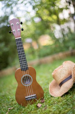 Ukulele ve hasır şapka yeşil çimen, bulanık yalan arka plan alanında park