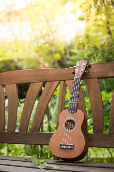 在夏季 Ukulele 在一个木园长椅上 绿地在模糊的背景中 — 图库照片