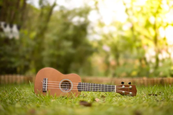 Гавайська Гітара Лежачи Зеленій Траві Розмито Парковій Зоні Фоновому Режимі — стокове фото