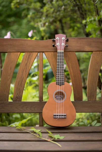 Гавайська Гітара Лавці Парку Дерев Яні Літній Зеленому Районі Тлі — стокове фото