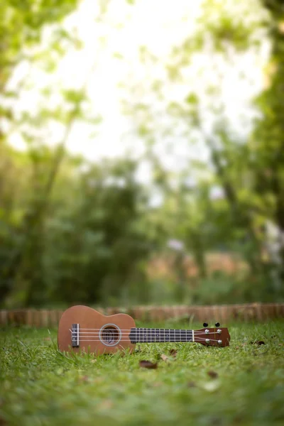 Leżąc Zielonej Trawie Powierzchnia Parku Rozmyte Tle Ukulele — Zdjęcie stockowe