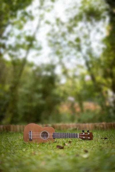 Leżąc Zielonej Trawie Powierzchnia Parku Rozmyte Tle Ukulele — Zdjęcie stockowe